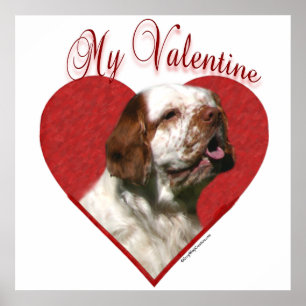 Mein Klumber Spaniel Valentine Poster