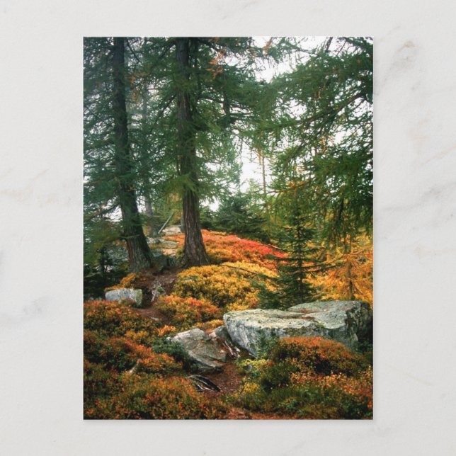 MEIN LEBEN IST NICHT DIESE VERTIKALE STUNDE POSTKARTE (Vorderseite)