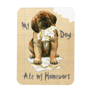 Mein Leonberger Ate Meine Hausaufgaben Magnet