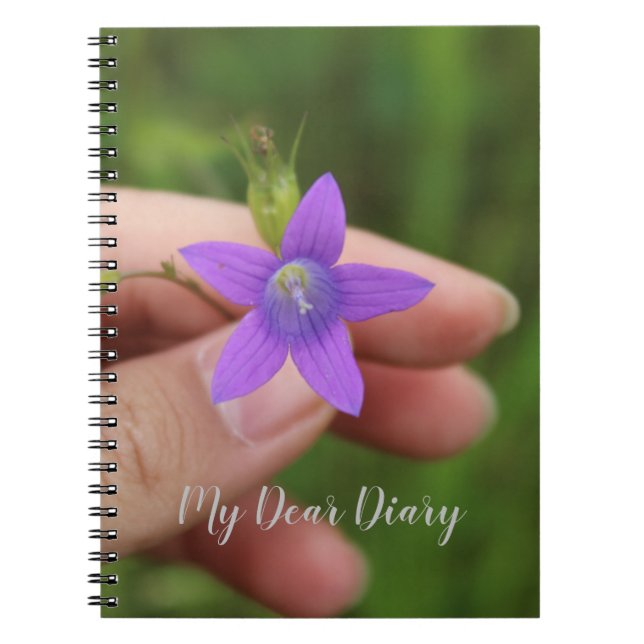 Mein liebes Tagebuch (Vorderseite)