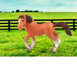 Mein Lieblingspferd Kissen