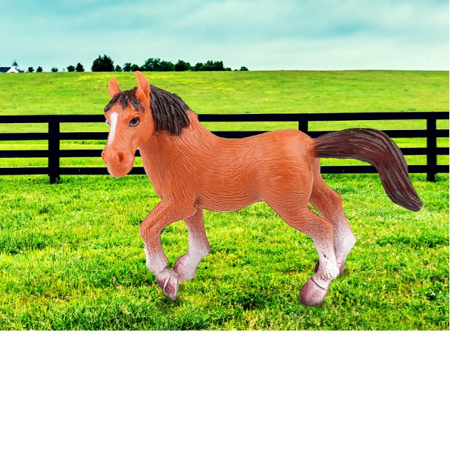 Mein Lieblingspferd T-Shirt (Von Creator hochgeladen)