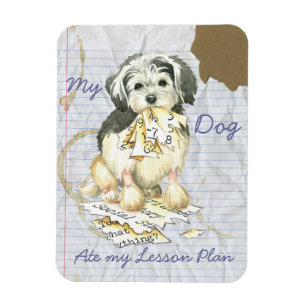 Mein Lowchen Ate My Lesson Plan Magnet