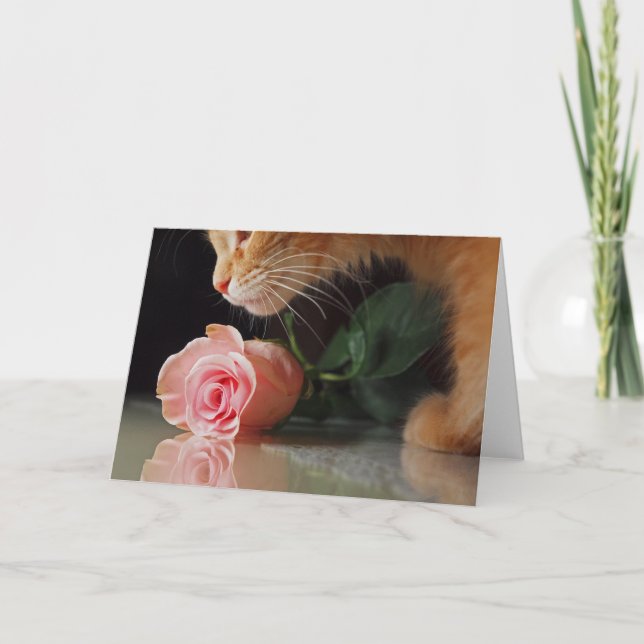 Mein lustiges Valentine Feiertagskarte (Vorderseite)