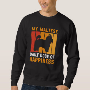 Mein maltesischer Hund, der glücklich war, war ein Sweatshirt