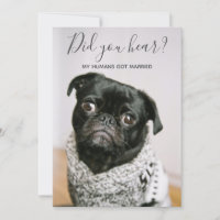 Mein Mensch Got Verheiratetes Hunde-Foto Hochzeits
