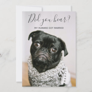 Mein Mensch Got Verheiratetes Hunde-Foto Hochzeits Einladung
