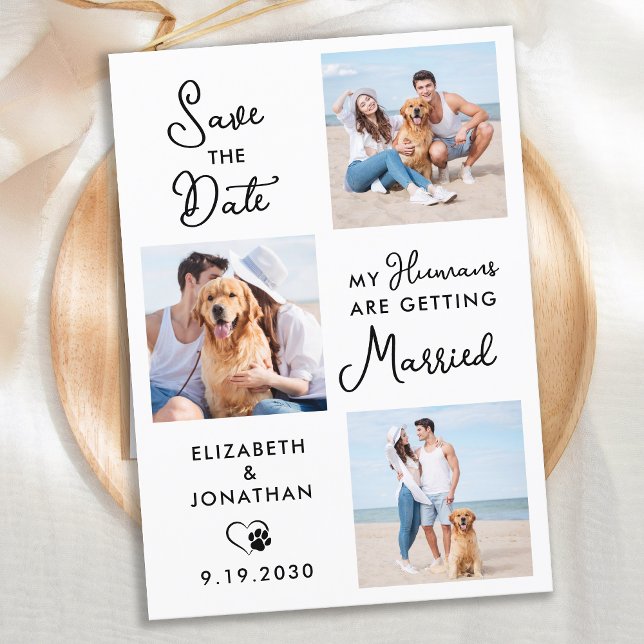 Mein Mensch heiratet einen 3 Foto Hund Save The Date (Von Creator hochgeladen)