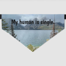 Mein Mensch ist Single
