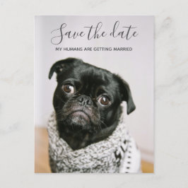 Mein Mensch wird Hund-Foto Save the Date heiraten Ankündigungspostkarte