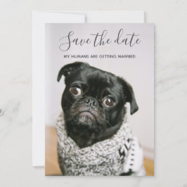 Mein Mensch wird Hund-Foto Save the Date heiraten Einladung
