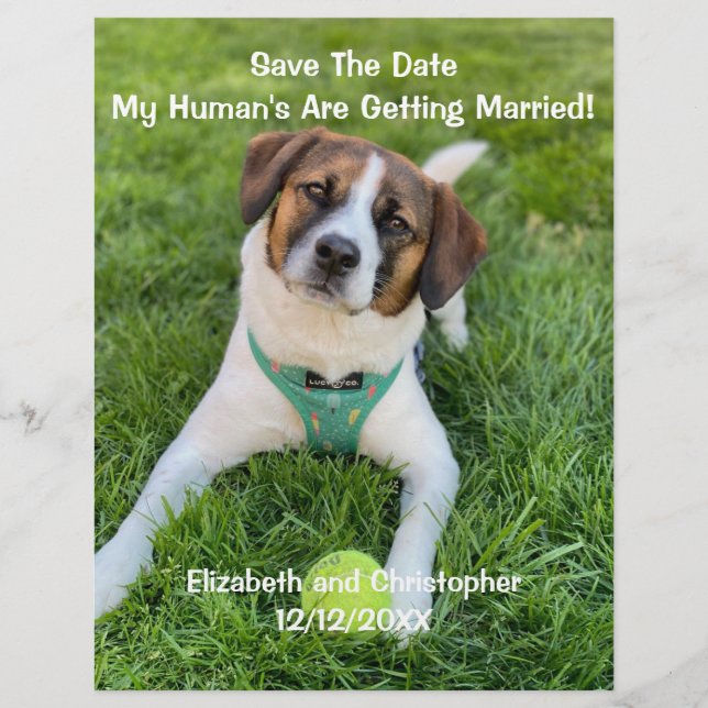 Mein menschliches Foto wird verheiratet, Verlobung Flyer (Vorne)