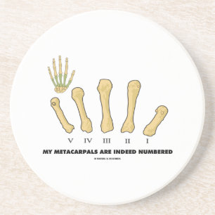 Mein Metacarpals werden tatsächlich nummeriert Getränkeuntersetzer