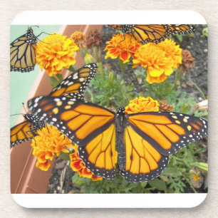 Mein Monarch Butterflies-Kork-Untersetzer Untersetzer