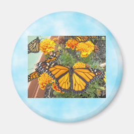 Mein Monarch Butterflies-Magnet Magnet