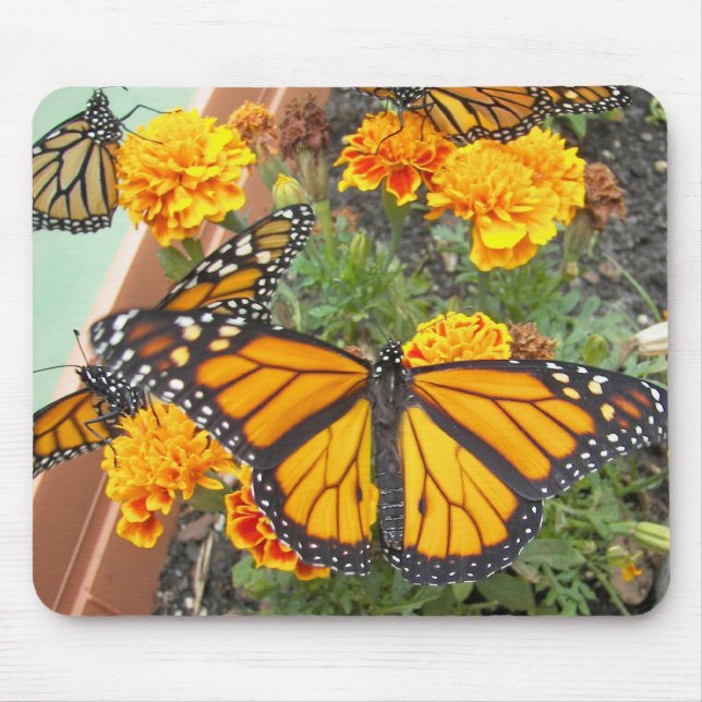 Mein Monarch Butterflies-Mousepad Mousepad (Vorne)