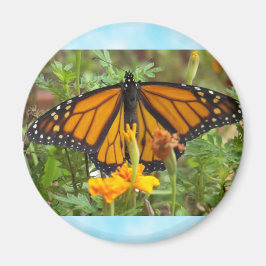 Mein Monarch Butterfly-Magnet Magnet