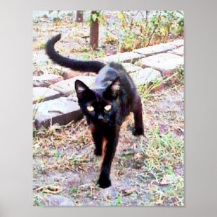Mein Name ist Kitty Poster