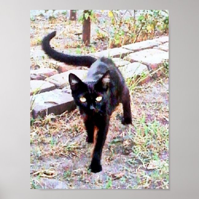 Mein Name ist Kitty Poster (Vorne)