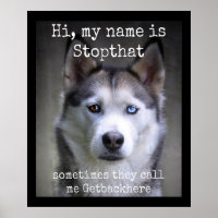 Mein Name ist Stoppt diesen lustigen Hyper Sibirie
