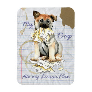 Mein norwegischer Elkhound Ate My Lesson Plan Magn Magnet