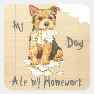 Mein Norwich-Terrier aß meine Hausaufgaben Quadratischer Aufkleber