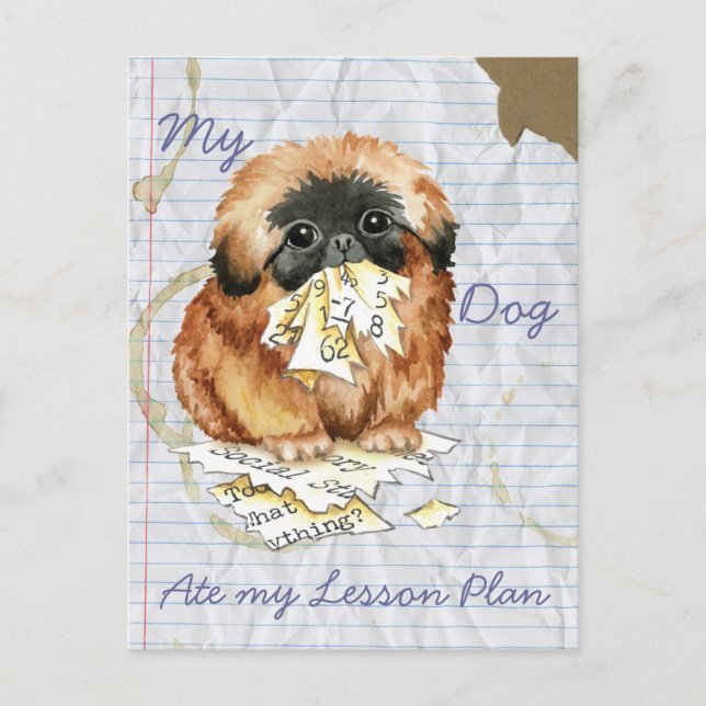 Mein Pekingese Ate my Lessingplan Postkarte (Vorderseite)