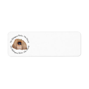 Mein Pekingese beherrscht meine Welt