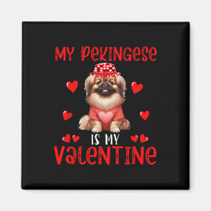 Mein Pekingese ist mein Valentinsgruß-Kostüm Singl Magnet