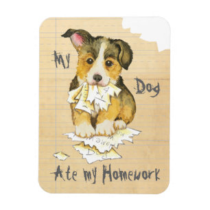 Mein Pembroke Welsh Corgi Ate meine Hausaufgaben Magnet