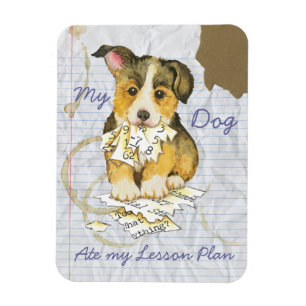 Mein Pembroke Welsh Corgi Ate my Lektionsplan Magnet