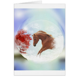 Mein perfekter Traum