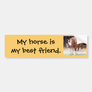 Mein Pferd ist mein Aufkleber des besten Freunds Autoaufkleber