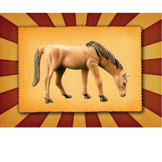 Mein Pferd T-Shirt (Von Creator hochgeladen)