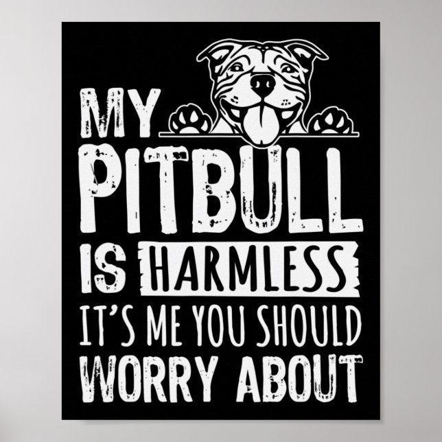 Mein Pitbull ist harmlos für mich. Du solltest dic Poster (Vorne)