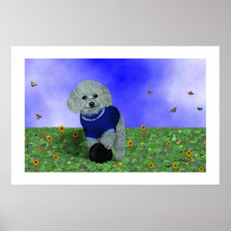 Mein Poodle und sein Ball. Poster