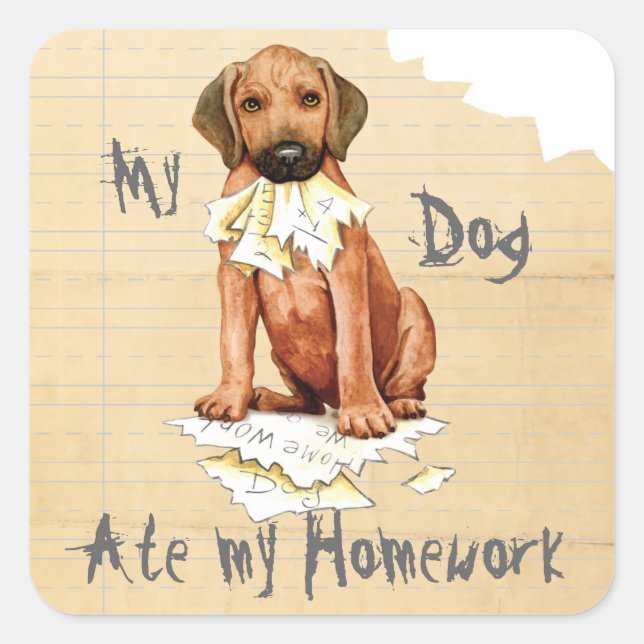Mein Rhodesian Ridgeback Ate Hausaufgaben Square S Quadratischer Aufkleber (Vorderseite)