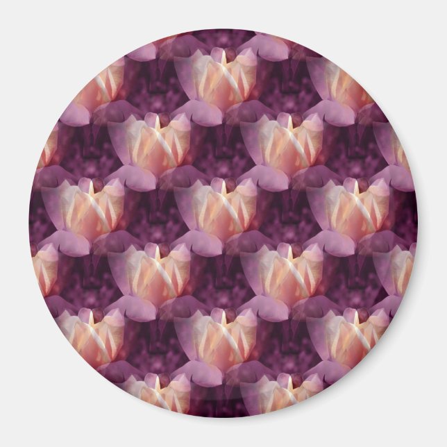 Mein Rose Bett. Magnet (Vorne)