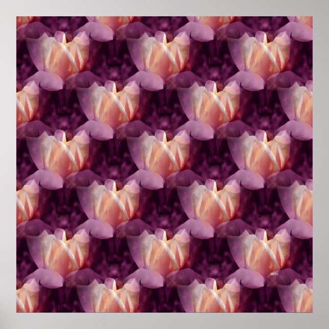 Mein Rose Bett.... Poster (Vorne)