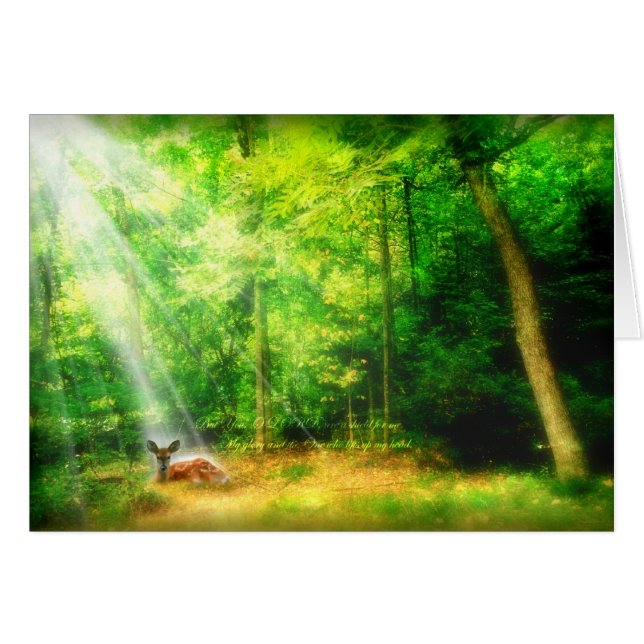 Mein Ruhm (Vorderseite (Horizontal))