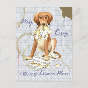 Mein Saluki Ate my Lessingplan Postkarte