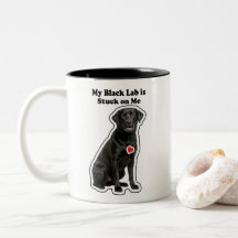 Mein schwarzer Labrador hängt an mir Hundeliebhabe