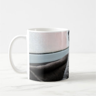 MEIN SCHWEIZER ROUTER RÜCKHALTETE KITTEN KAFFEETASSE