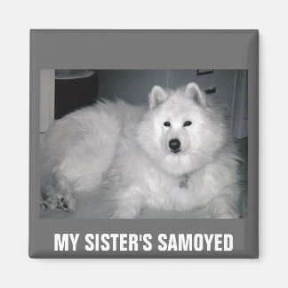 MEIN SCHWESTER IST SAMOYED MAGNET