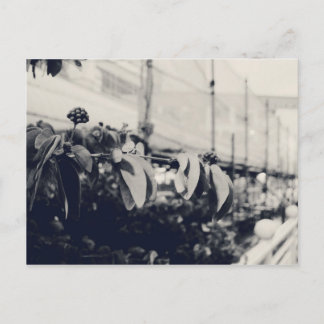 Mein Singapur: Heartlands-Serie #6 Postkarte