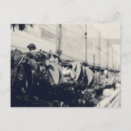 Mein Singapur: Heartlands Series #6 Postkarte