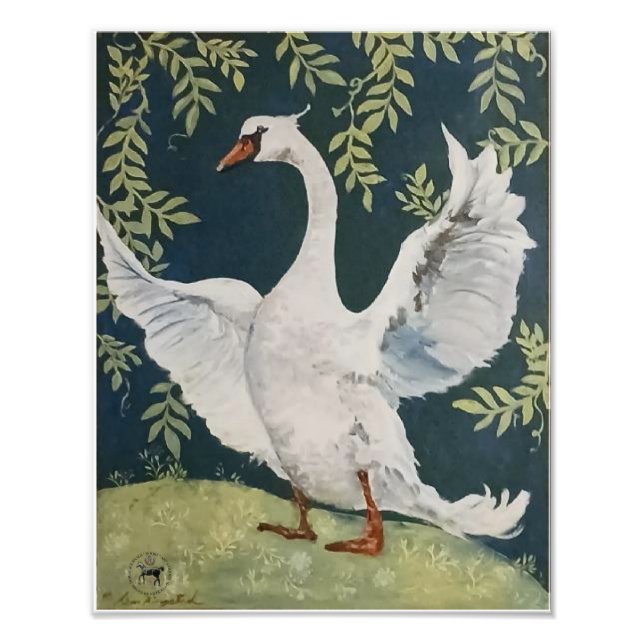 mein süßer Schwan Fotodruck (Vorne)