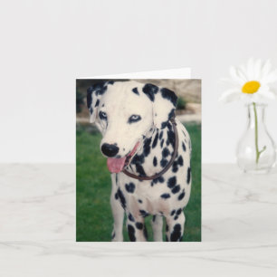 Mein tierischer Freund Benutzerfoto Karte