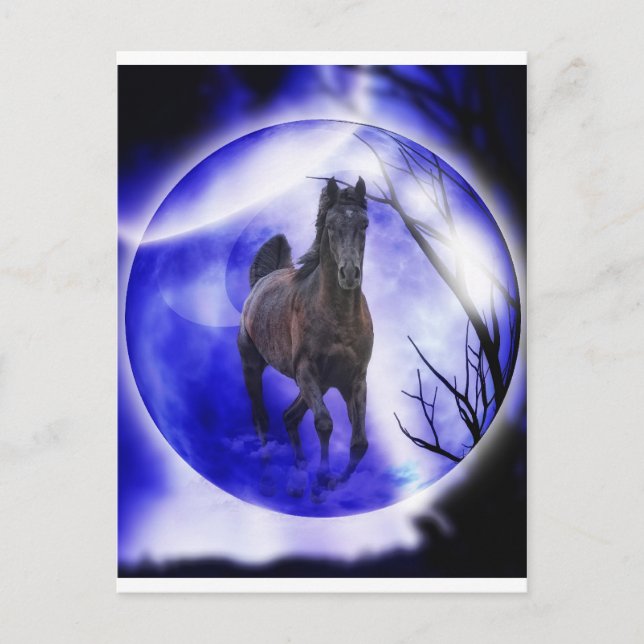 Mein Traum Postkarte (Vorderseite)