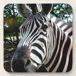 Mein trepper Freund Getränkeuntersetzer